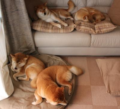 kaiyun体育app-《电竞行业人才需求激增：从培训到职业路径全解析》，电竞人才的发展前景