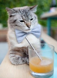 开云全站-世界联动：NBA与全球篮球文化的交融，nba和篮球