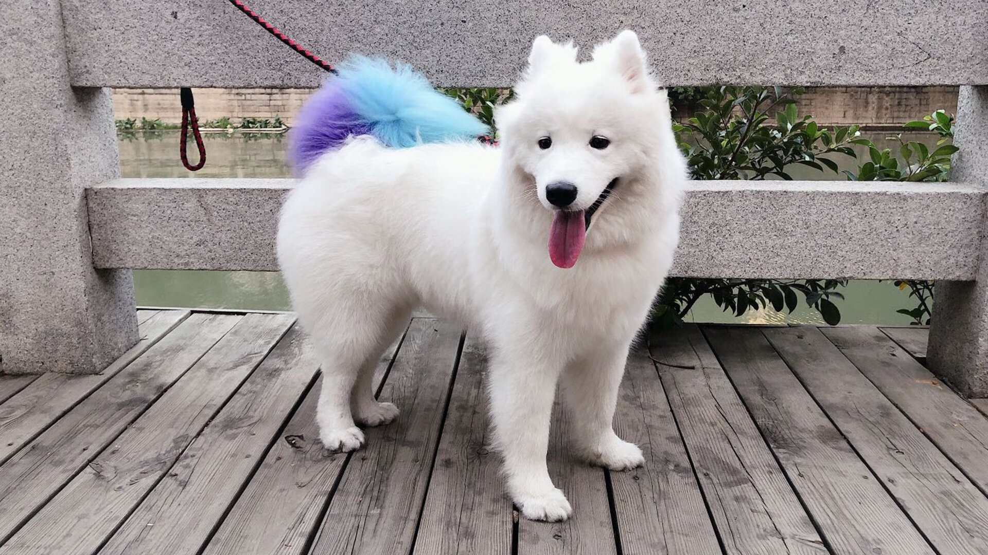 开云官网APP下载-中超新赛季赛程安排更加合理紧凑，中超新赛程规则