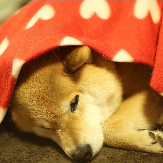 Kaiyun(中国)开云-广场舞与旅游业融合发展，广场舞文化现象影响