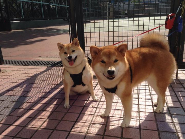 开云官网APP下载-国足主帅亲自指导青训核心课程，国足主帅亲自指导青训核心课程视频