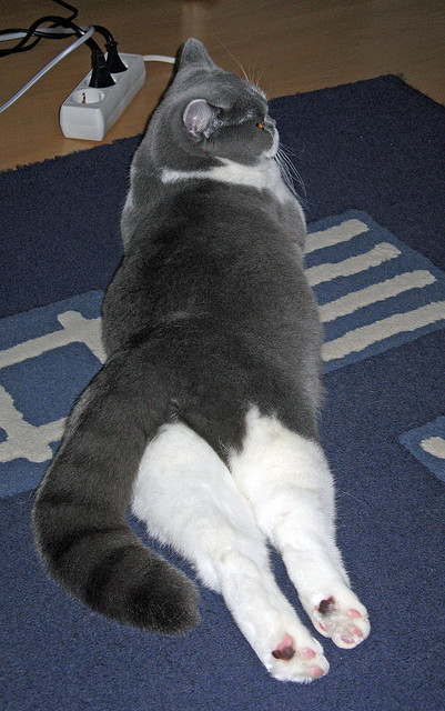 开云·体育官网APP下载-女足联赛品牌影响力不断扩大，女足联赛品牌影响力不断扩大的原因