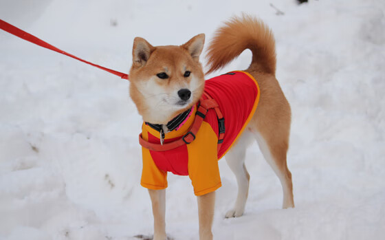 开云·Kaiyun网页版-柏林赫塔在主场迎战强敌，全队备战状态良好，柏林赫塔新球场效果图