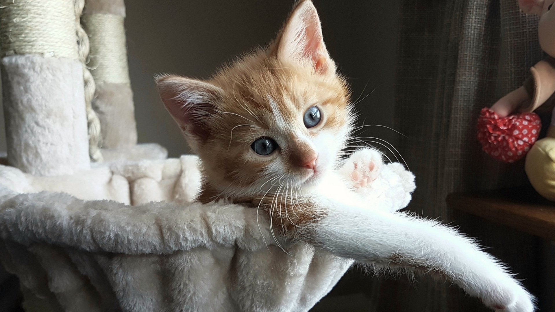 kaiyun开云·官方网站-西布朗边路传中威胁大，铝土矿工拼抢关键分，西布朗外号