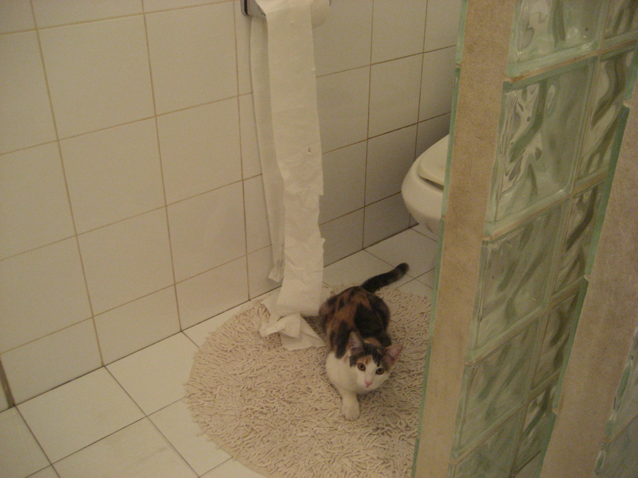 开云网站-阿塞拜疆客场击败葡萄牙，此役战果意料之外，阿塞拜疆大胜