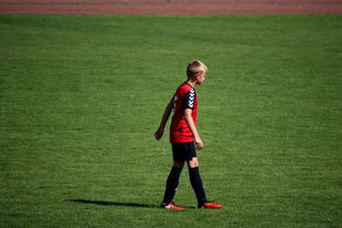 开云官方网站-NBA球员高原训练对平原比赛状态的影响，平原运动员进行高原训练原因