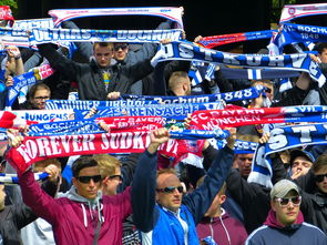 开云全站-球迷文化盛宴：从欧洲到亚洲的足球狂欢，中国足球球迷文化