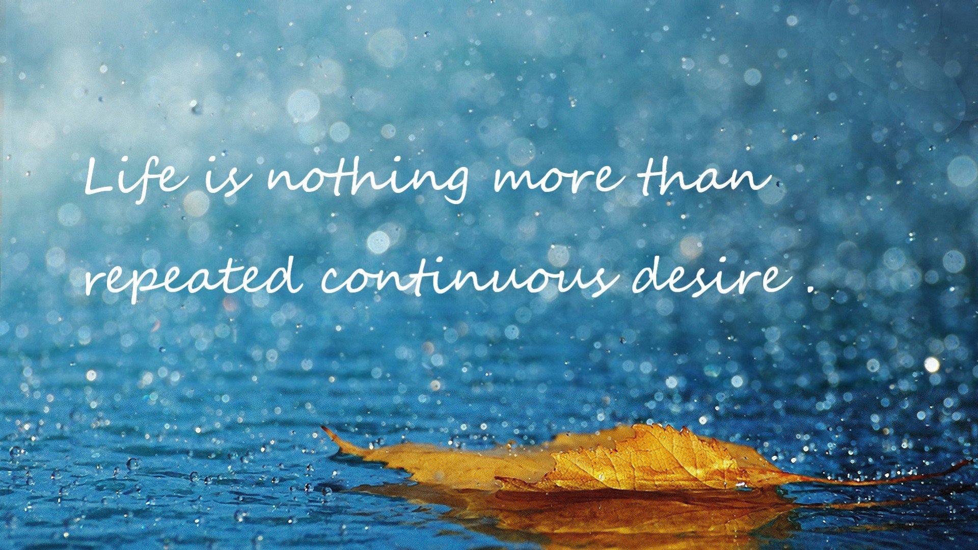 kaiyun开云·官方网站-辽宁飞豹展现强大团队凝聚力冲击总冠军，辽宁飞豹是什么企业