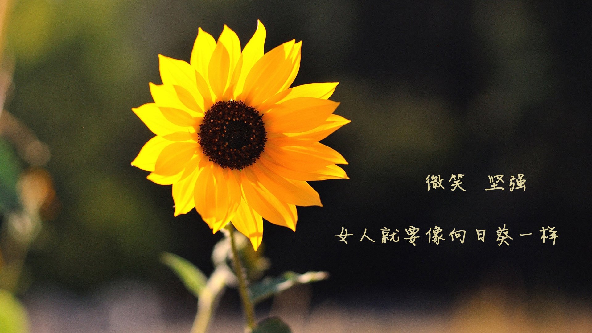 开云体育官方网入口-墨西哥男子水球队小组赛表现坚韧，墨西哥男子篮球队