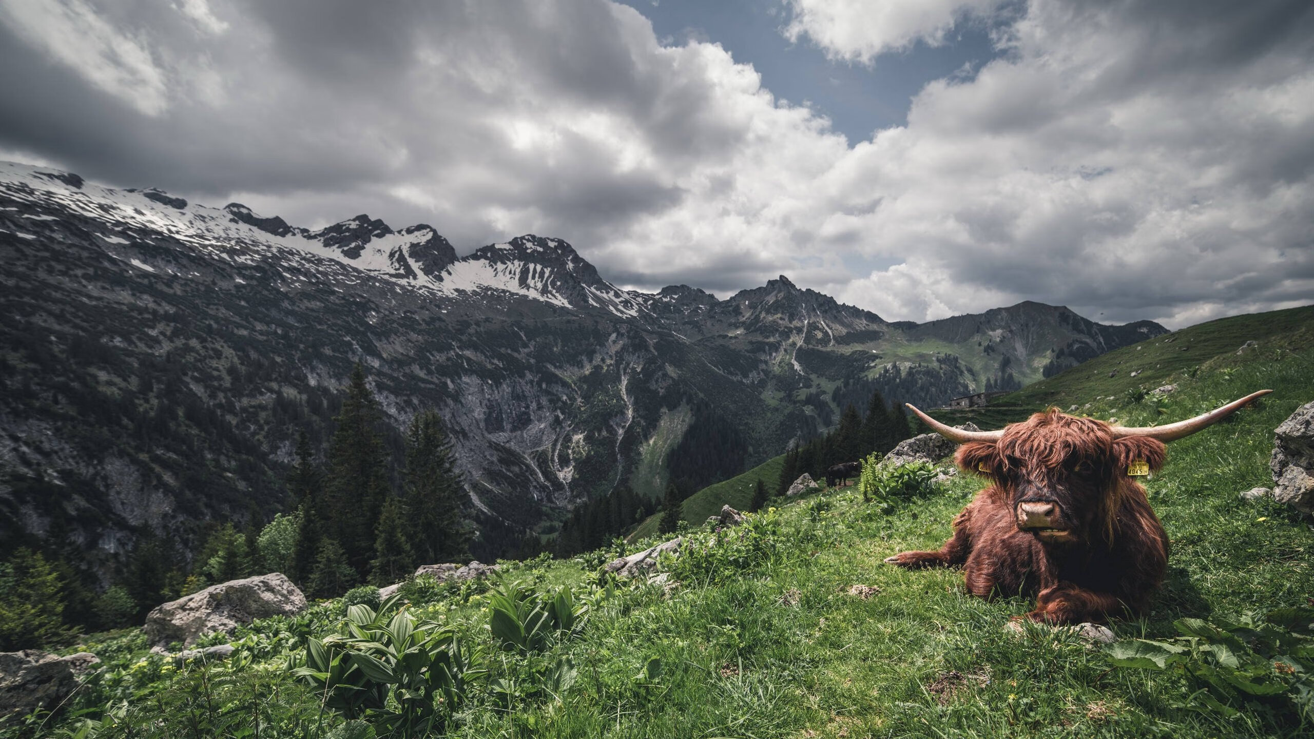 开云·Kaiyun网页版-斯洛伐克男篮在欧洲大赛中奋力拼搏，志在争夺冠军荣誉，奥运会斯洛伐克男篮
