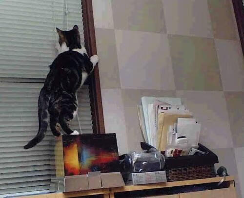 开云体育APP下载-英超最火爆：逆境奋战，造就奇迹！，英超最善于逆转的球队